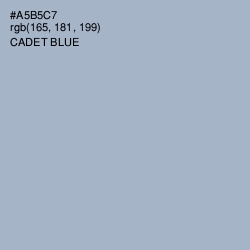 #A5B5C7 - Cadet Blue Color Image